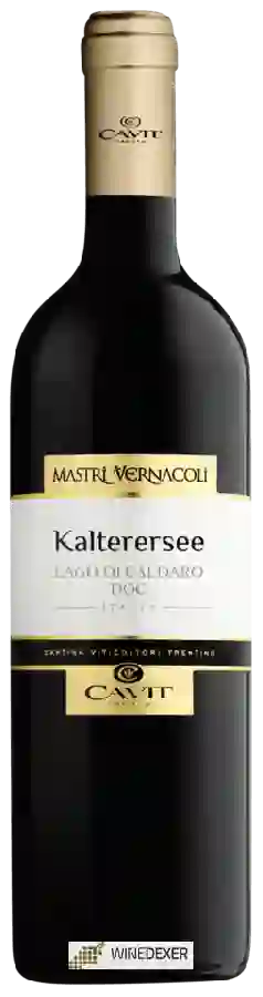 Winery Mastri Vernacoli - Kaltersee - Lago di Caldaro Winery Mastri Vernacoli - Kaltersee - Lago di Caldaro