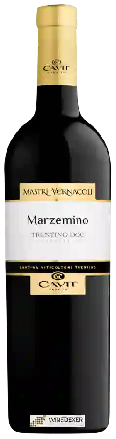 Winery Mastri Vernacoli - Marzemino