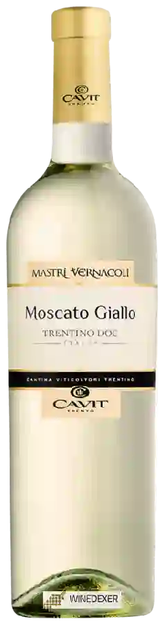 Winery Mastri Vernacoli - Moscato Giallo Trentino Winery Mastri Vernacoli - Moscato Giallo Trentino