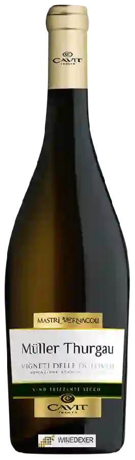 Winery Mastri Vernacoli - Müller Thurgau Frizzante