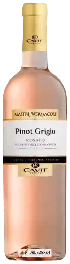 Winery Mastri Vernacoli - Pinot Grigio Rosato