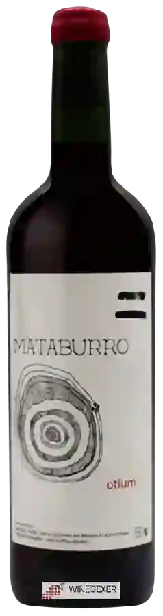 Winery Mataburro - Otium