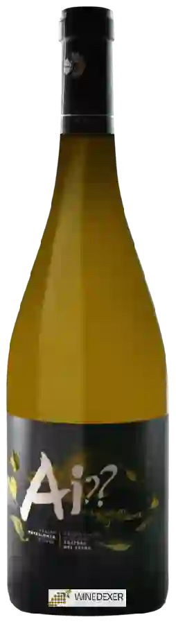 Winery Matallonga - Ai??