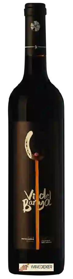 Winery Matallonga - Vi del Banya