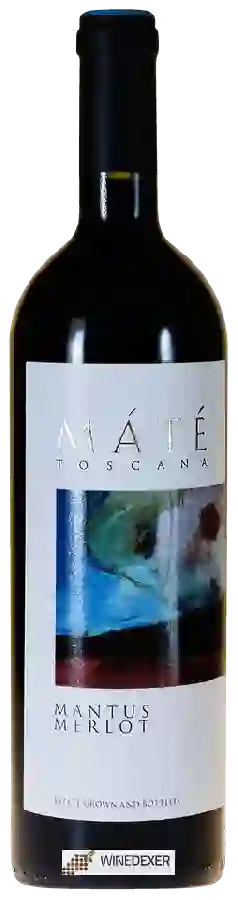 Winery Máté - Mantus Merlot