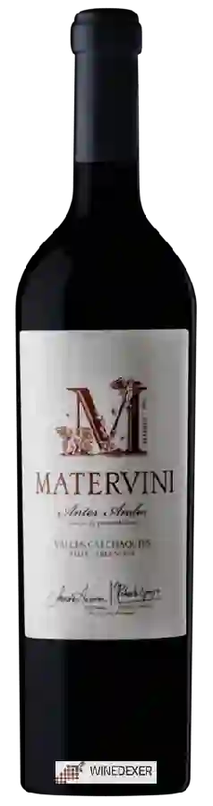 Winery Matervini - Antes Andes Valles Calchaqu&iacutees