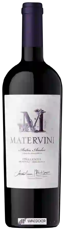 Winery Matervini - Antes Andes Vi&ntildea Canota
