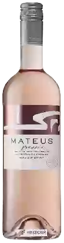 Winery Mateus - Expressions Baga - Muscat