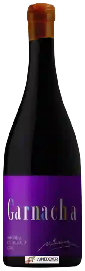 Winery Maturana - Garnacha Winery Maturana - Garnacha