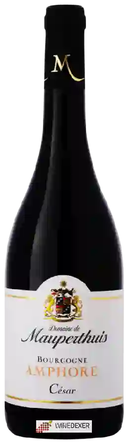 Domaine de Mauperthuis - Bourgogne César Amphore Domaine de Mauperthuis - Bourgogne César Amphore