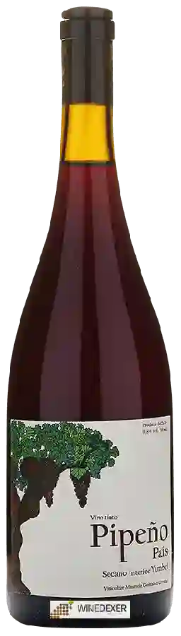 Winery Mauricio Gonzalez Carreño - Pipe&ntildeo Pa&iacutes