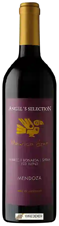 Winery Mauricio Lorca - Angel's Selection Red Blend
