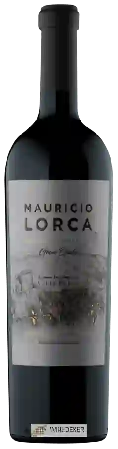 Winery Mauricio Lorca - Gran Opalo Blend Winery Mauricio Lorca - Gran Opalo Blend