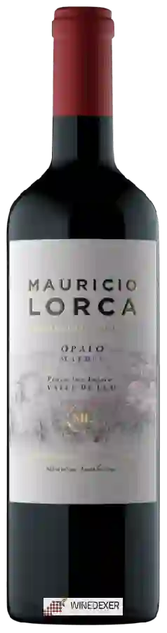 Winery Mauricio Lorca - Opalo Malbec Winery Mauricio Lorca - Opalo Malbec