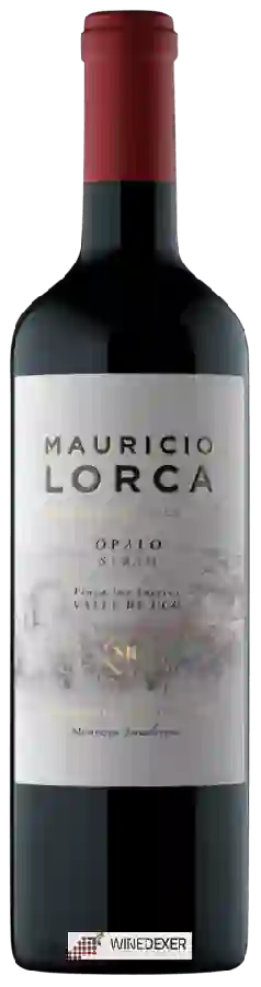 Winery Mauricio Lorca - Opalo Syrah Winery Mauricio Lorca - Opalo Syrah