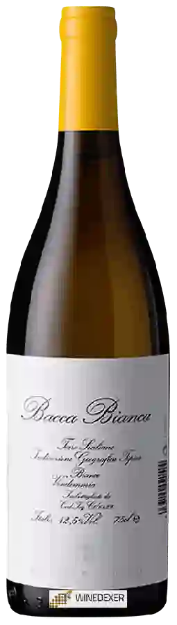 Winery Maurigi - Bacca Bianca Winery Maurigi - Bacca Bianca
