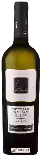 Winery Maurizio B Martino MBM - Mavum Blanco (Pinot Grigio - Pinot Nero)