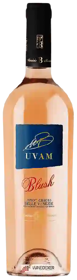 Winery Maurizio B Martino MBM - Uvam Blush Winery Maurizio B Martino MBM - Uvam Blush