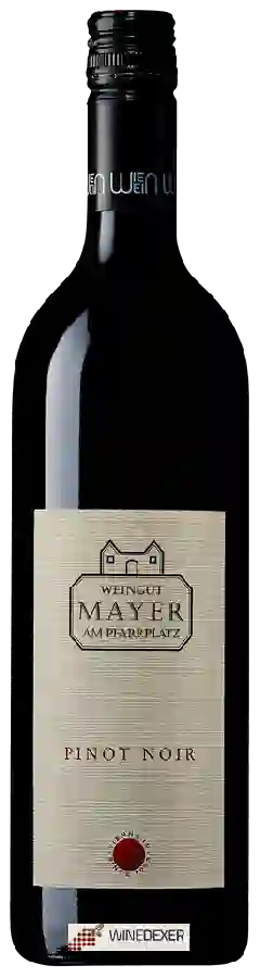 Winery Mayer am Pfarrplatz - Pinot Noir Winery Mayer am Pfarrplatz - Pinot Noir
