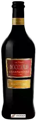 Winery Medici Ermete - Le Tenute Bocciolo Grasparossa