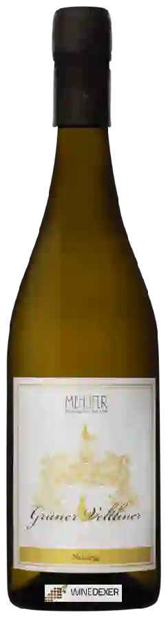 Winery Mehofer - Neudegg Grüner Veltliner