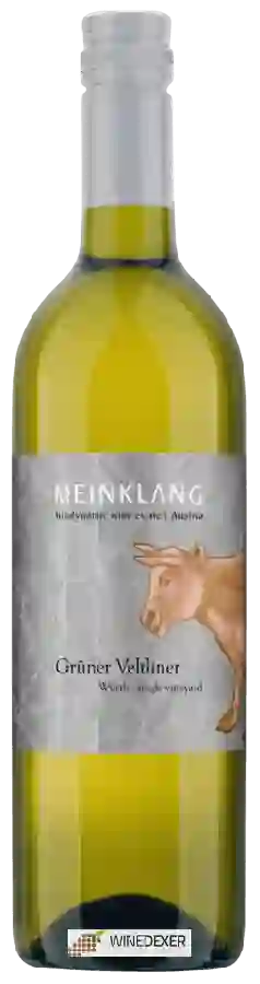 Winery Meinklang - Wörth Single Vineyard Grüner Veltliner