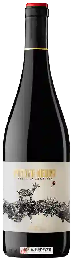 Winery Melonera - Payoya Negra