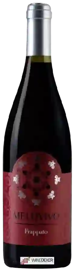 Winery Melovivo - Frappato
