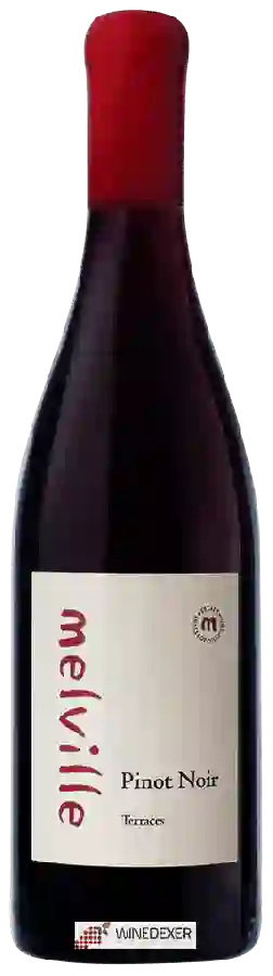 Winery Melville - Terraces Pinot Noir