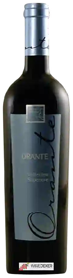 Winery Menegola - Orante Valtellina Superiore Winery Menegola - Orante Valtellina Superiore