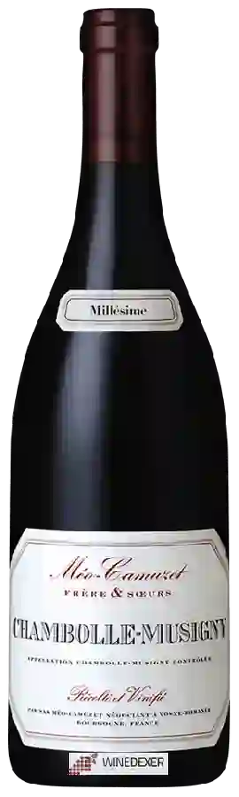 Winery Méo-Camuzet - Chambolle-Musigny Winery Méo-Camuzet - Chambolle-Musigny