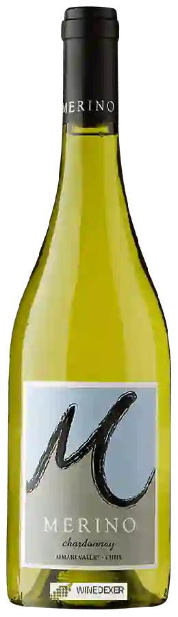 Winery Merino - Chardonnay