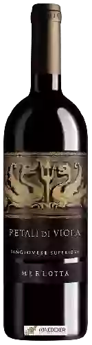 Winery Merlotta - Petali di Viola Sangiovese Superiore
