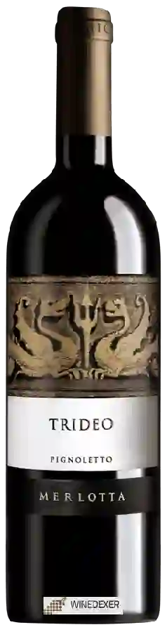 Winery Merlotta - Trideo Pignoletto Winery Merlotta - Trideo Pignoletto