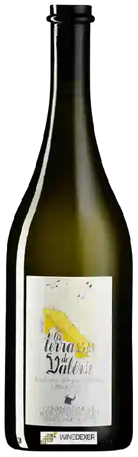 Domaine Mermetus - Henri et Vincent Chollet - Les Terrasses de Valerie