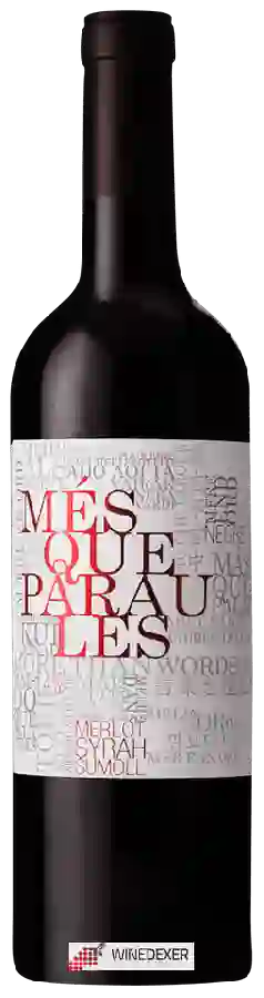 Winery Més Que Paraules - Red Blend Winery Més Que Paraules - Red Blend