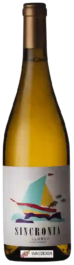Winery Mesquida Mora - Sincronia Blanc