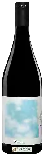 Winery Mesquida Mora - Sòtil