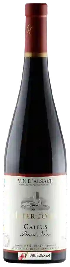 Winery Meyer-Fonné - Gallus Pinot Noir