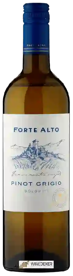Winery Mezzacorona - Forte Alto Pinot Grigio Winery Mezzacorona - Forte Alto Pinot Grigio