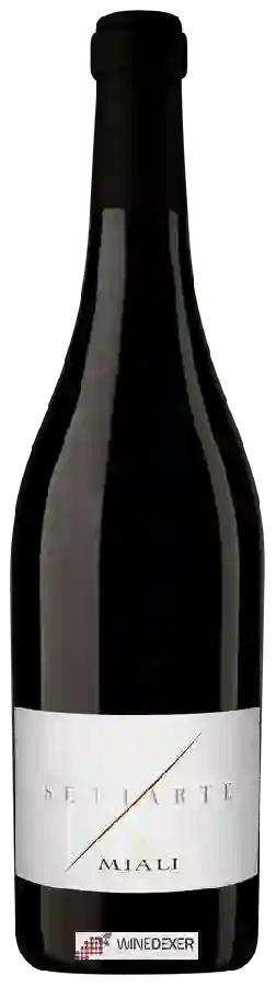 Winery Miali - Settarte Winery Miali - Settarte