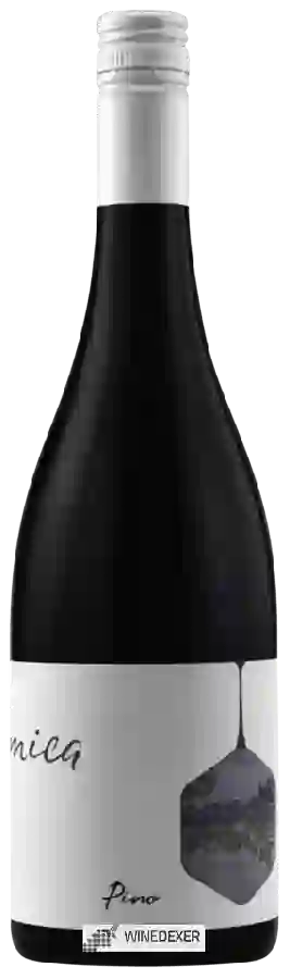 Winery Mica - Pino Winery Mica - Pino