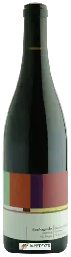 Winery Broger Weinbau - Blauburgunder Schnellberg