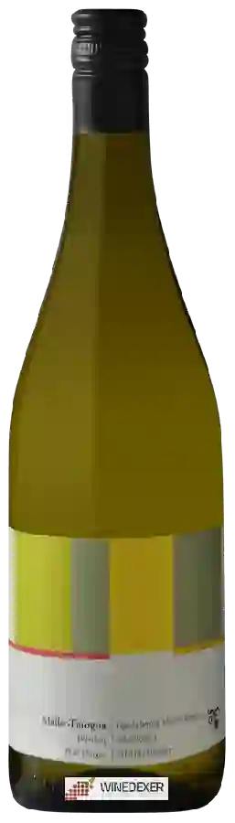 Winery Broger Weinbau - Müller-Thurgau Ottenberg