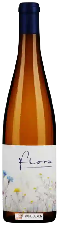 Winery Michael Gindl - Flora Winery Michael Gindl - Flora