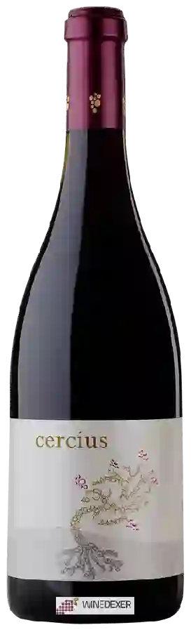 Winery Michel Gassier - Cercius Rouge