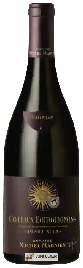 Winery Michel Magnien - Coteaux Bourguignons Pinot Noir Winery Michel Magnien - Coteaux Bourguignons Pinot Noir