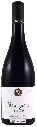 Winery Michel Noëllat - Bourgogne Pinot Noir