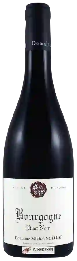 Winery Michel Noëllat - Bourgogne Pinot Noir Winery Michel Noëllat - Bourgogne Pinot Noir