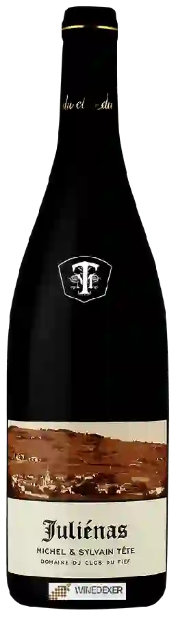 Domaine du Clos du Fief (Michel Tete) - Tradition Juliénas